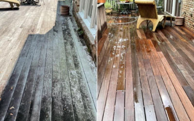 Expert Power Washing Services in Saraland, AL: Why Pro Tip Power Washing is Your Ultimate Solution